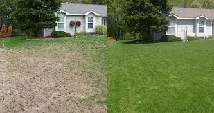 Reliable yard cleanup service in Newton, NJ by Naturally Greener Lawns