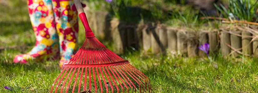 Local residential landscaping experts serving Newton, NJ - Naturally Greener Lawns