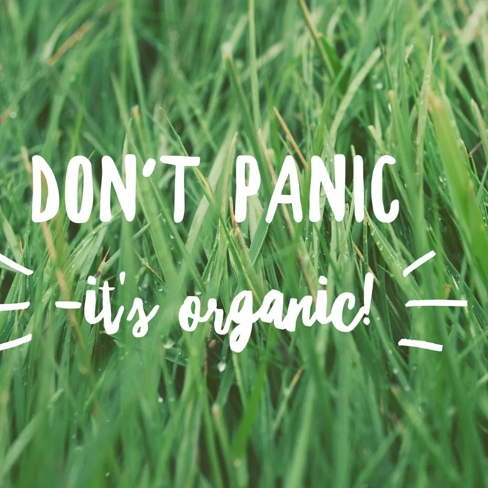 Top-rated lawn mowing service with custom design across Newton, NJ - Naturally Greener Lawns