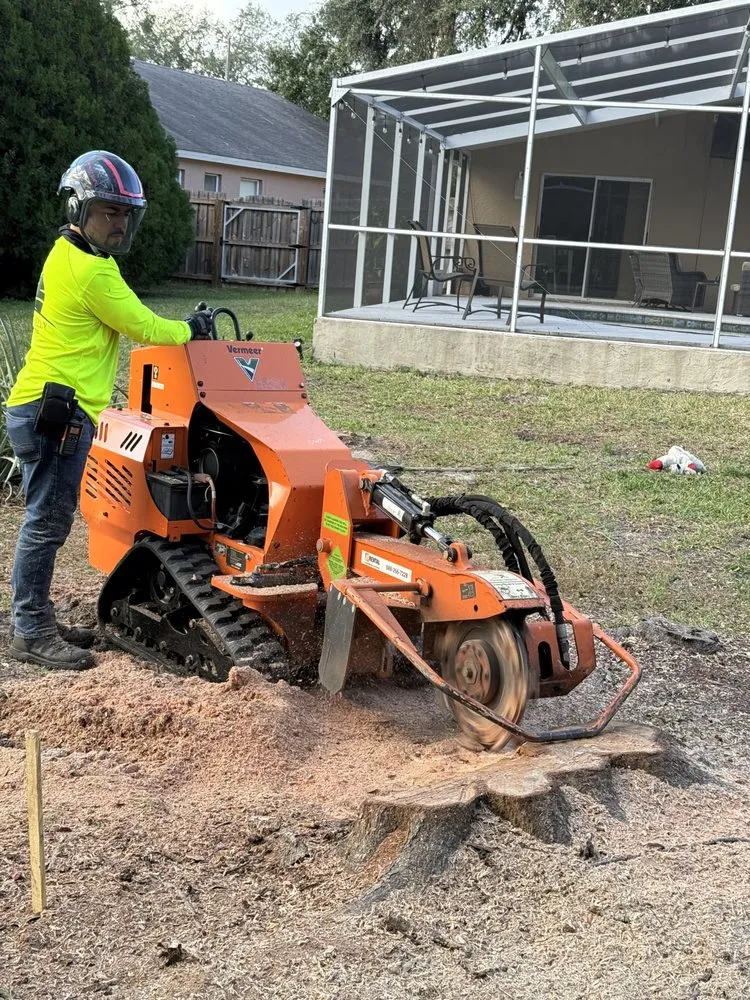 Trusted yard cleanup service experts serving Ruskin, FL - Naturally Landscaping