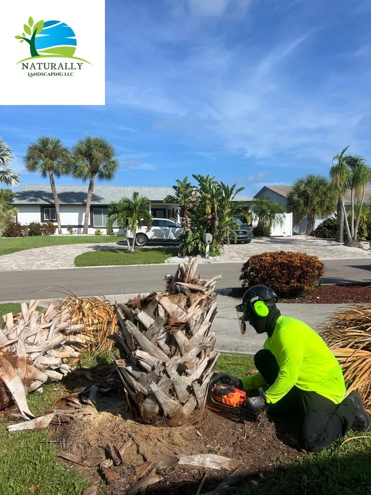 Top-rated yard cleanup service experts serving Ruskin, FL - Naturally Landscaping