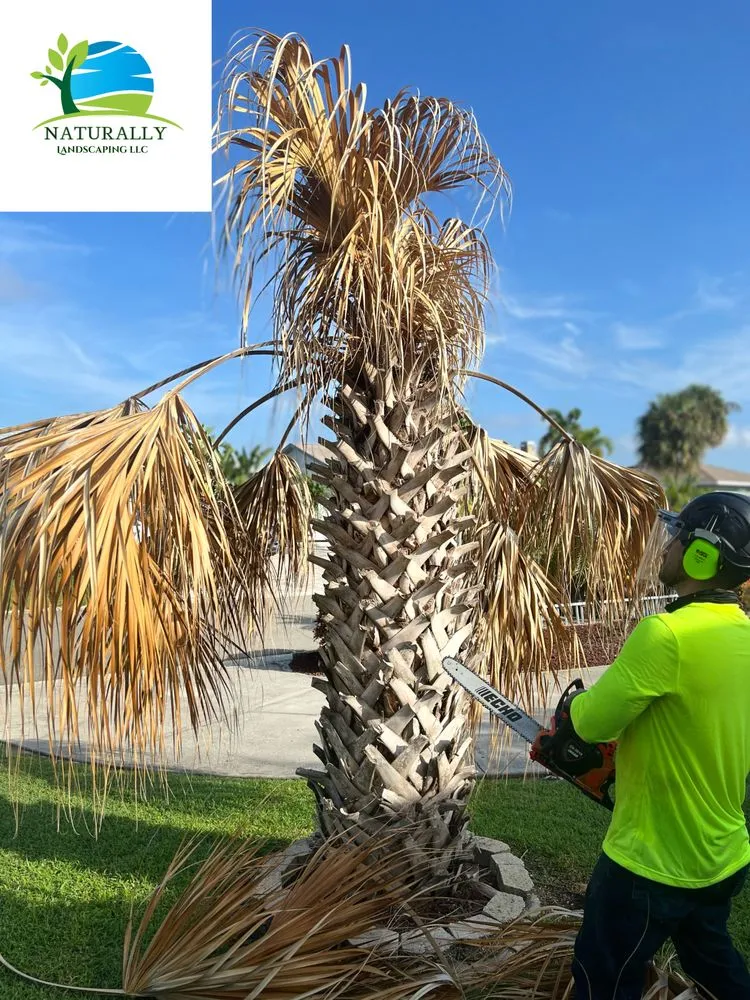 Top-rated landscaping services in Ruskin, FL - Naturally Landscaping