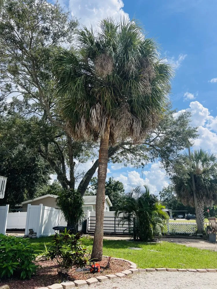 Custom garden landscaping in Ruskin, FL - Naturally Landscaping