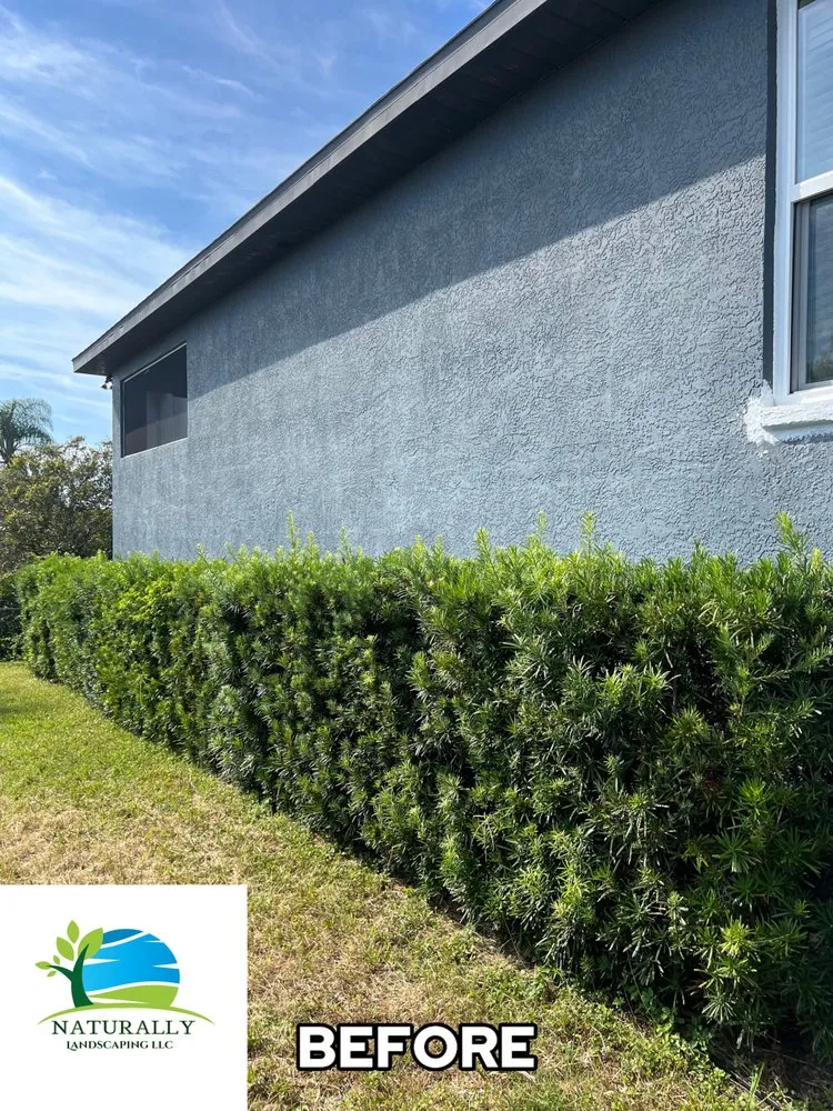 Affordable lawn mowing service for homes in Ruskin, FL by Naturally Landscaping