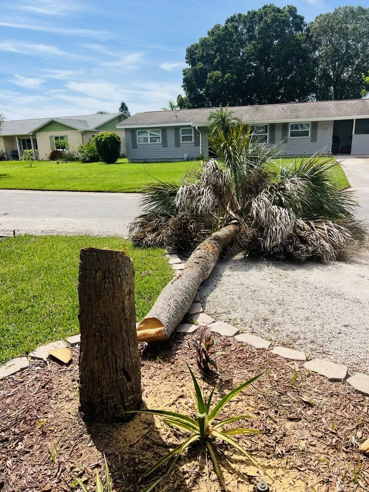 Local garden landscaping experts serving Ruskin, FL - Naturally Landscaping