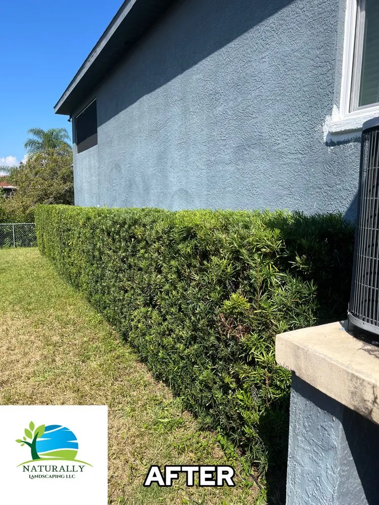 Reliable landscaping services with custom design across Ruskin, FL - Naturally Landscaping