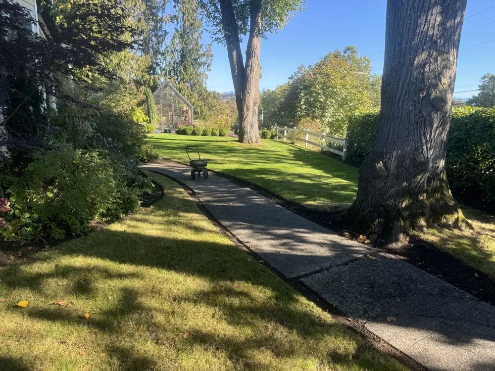 Custom yard cleanup service in Redmond, WA - Naturally Native Landscaping