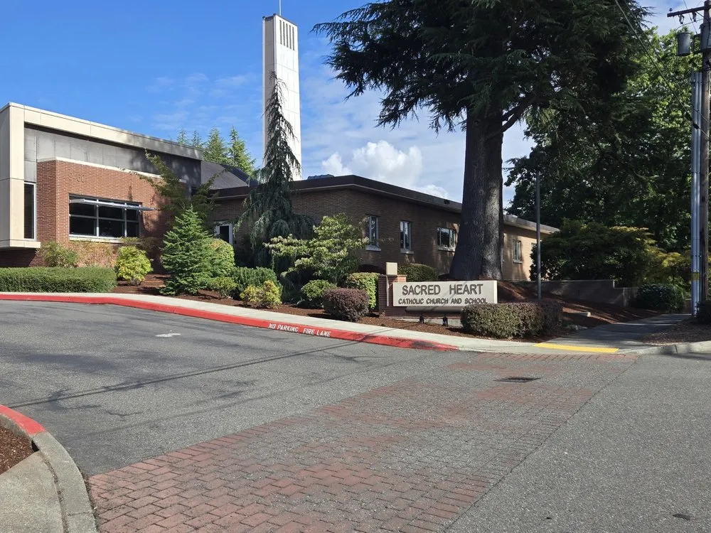 Reliable yard cleanup service in Redmond, WA - Naturally Native Landscaping