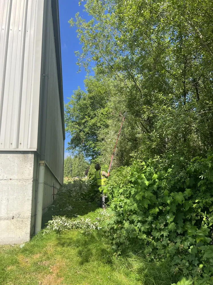 Reliable lawn mowing service experts serving Redmond, WA - Naturally Native Landscaping