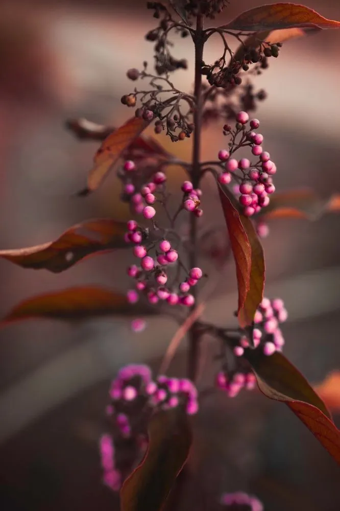 Reliable residential landscaping in Seymour, IN by Naturalscape Services