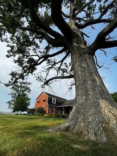 Expert outdoor landscaping experts serving Seymour, IN - Naturalscape Services