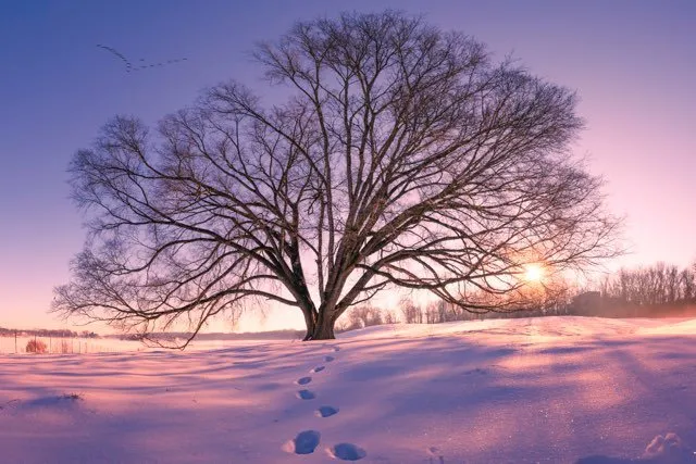 Custom garden landscaping experts serving Seymour, IN - Naturalscape Services