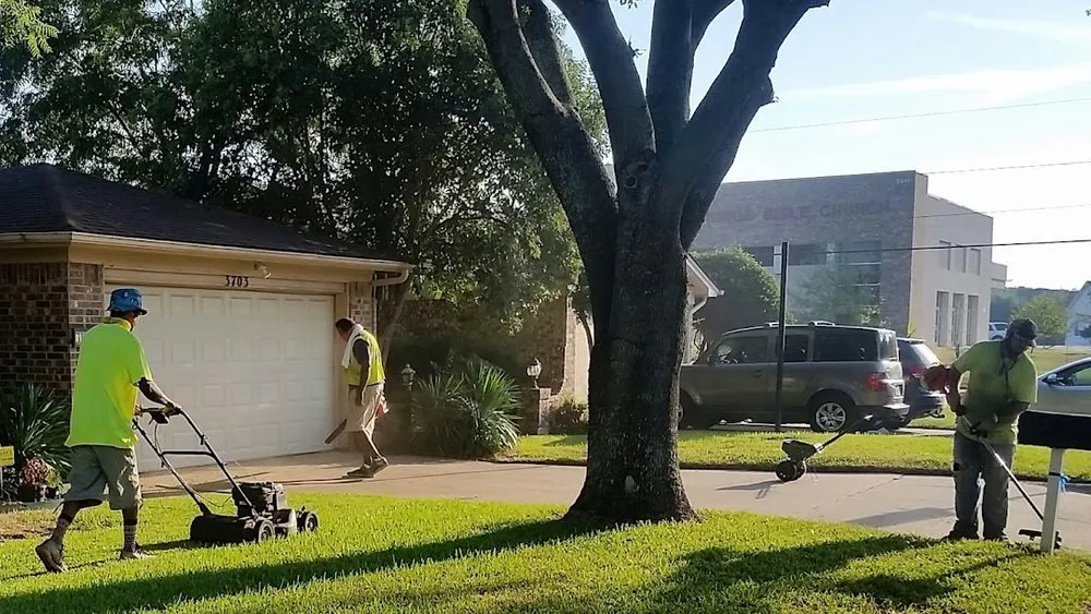 Affordable outdoor landscaping experts serving Burleson, TX - NaturaLuxe Lawns