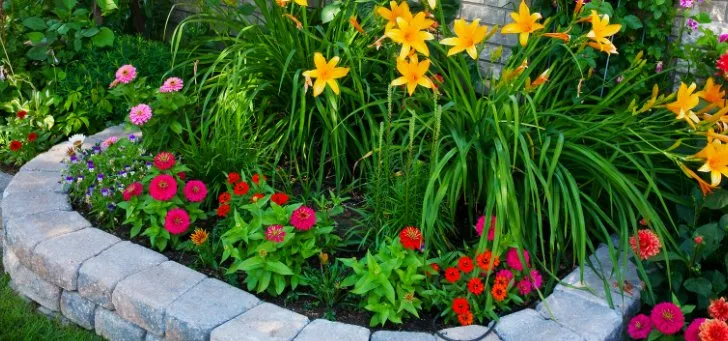 Professional lawn care service in Burleson, TX by NaturaLuxe Lawns