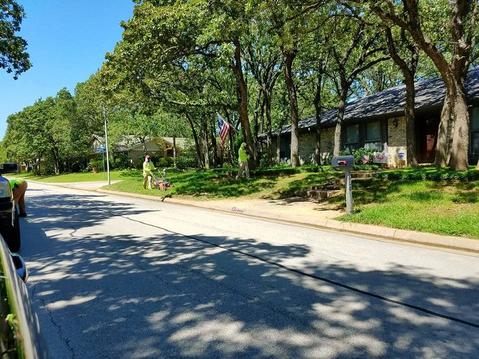 Professional yard cleanup service in Burleson, TX - NaturaLuxe Lawns