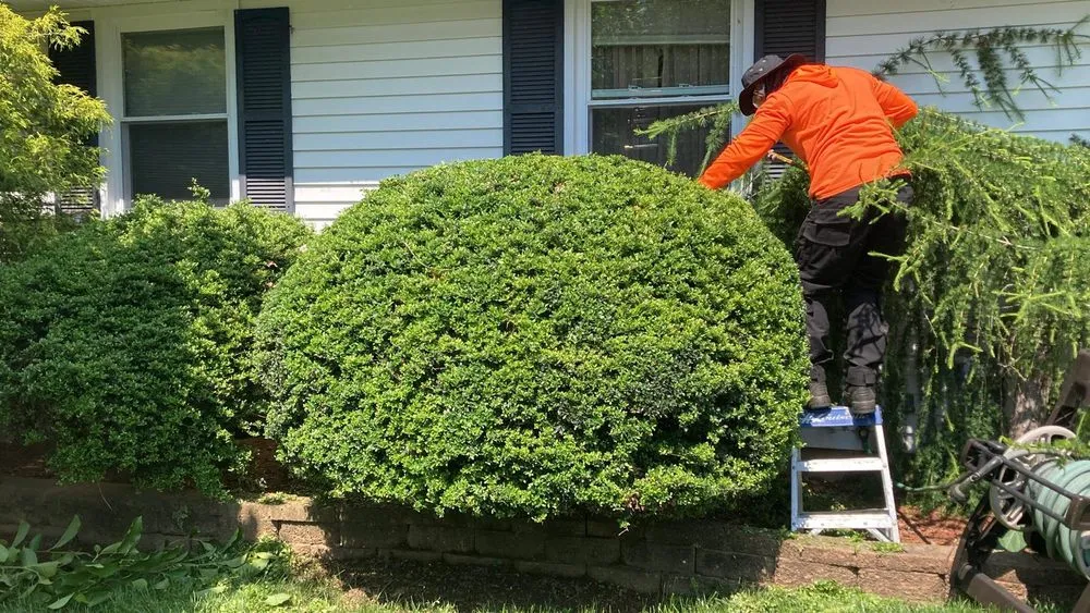 Professional lawn care service for beautiful yards across Wallington, NJ - Nature Beauty Landscaping