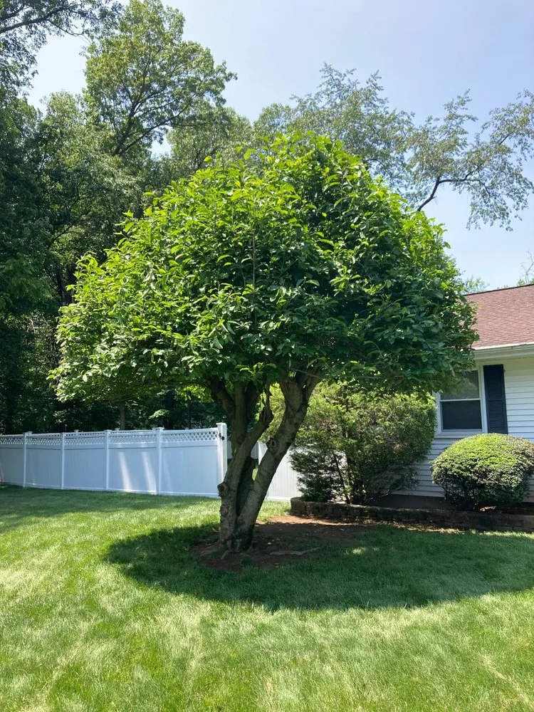 Local garden landscaping in Wallington, NJ - Nature Beauty Landscaping