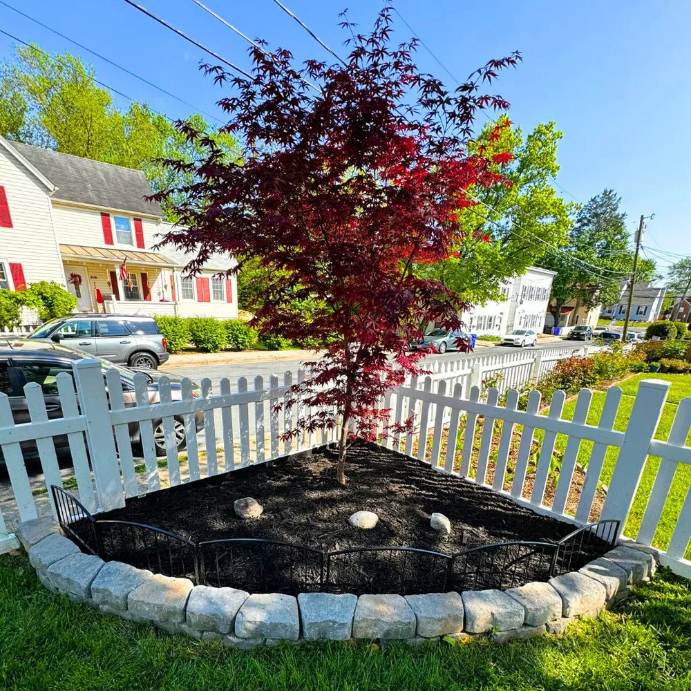 Reliable residential landscaping for year-round maintenance in Laurel, MD by Nature Blooms Landscaping