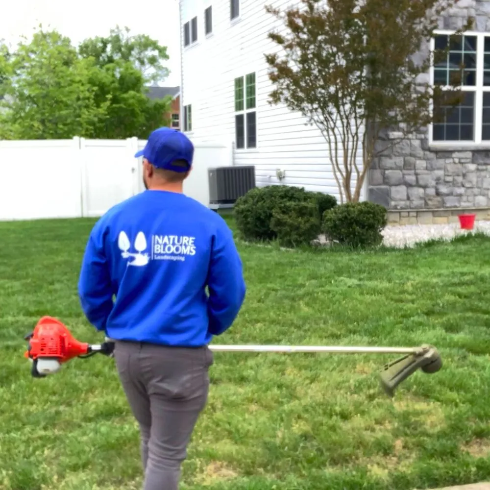 Professional landscaping services experts serving Laurel, MD - Nature Blooms Landscaping