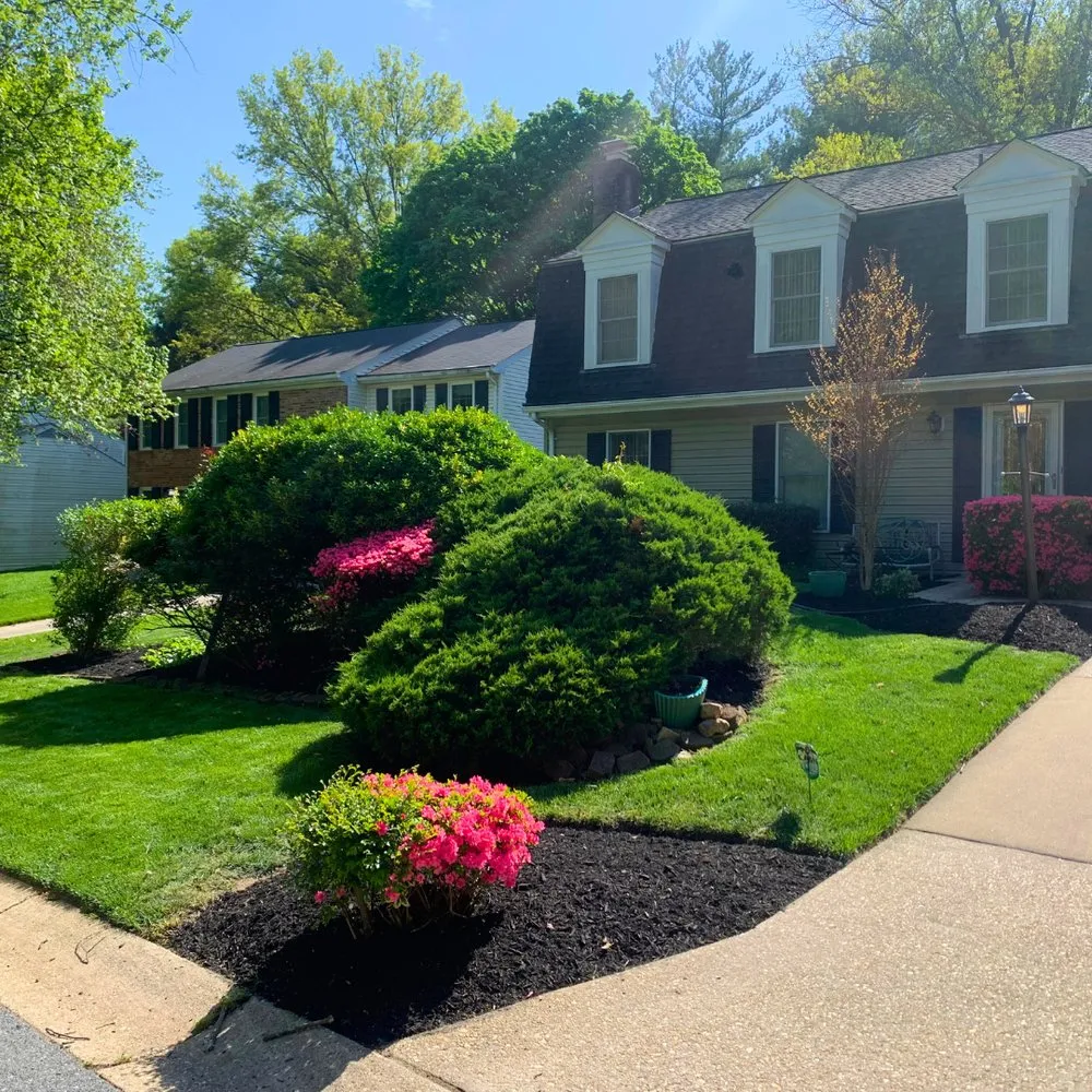 Local yard maintenance for homes in Laurel, MD by Nature Blooms Landscaping
