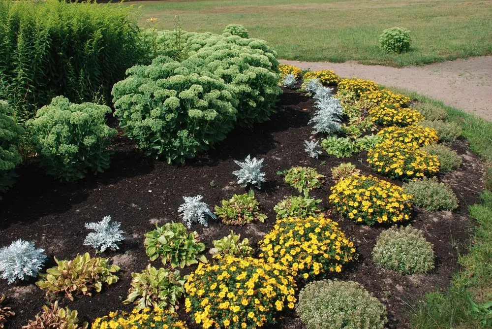 Professional lawn care service for year-round maintenance in Columbus, OH by Nature Boy Landscaping