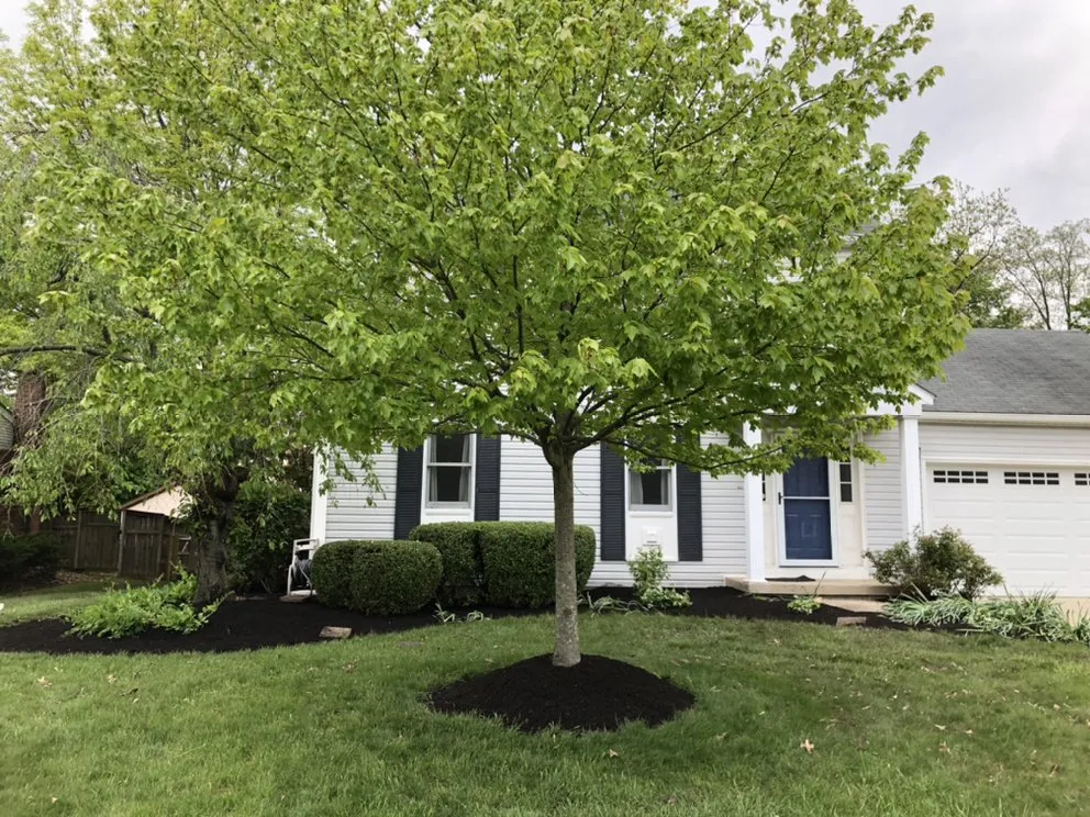 Affordable outdoor landscaping for homes in Columbus, OH by Nature Boy Landscaping