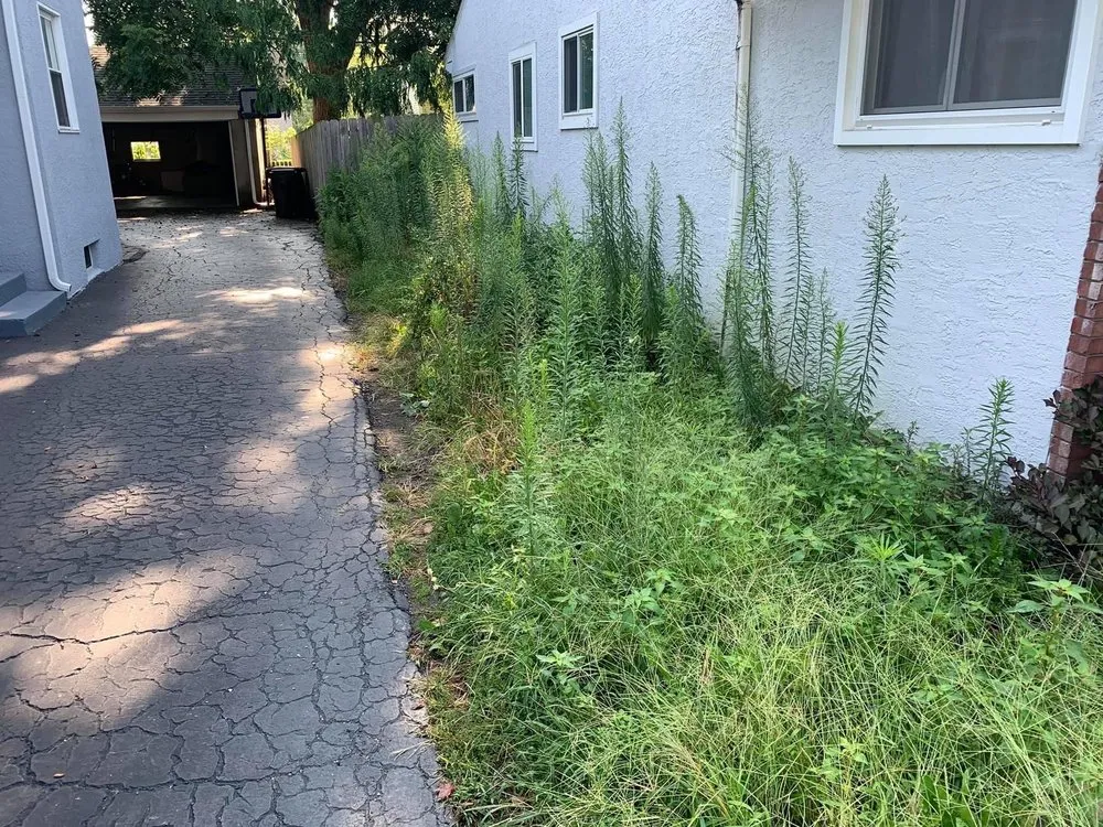 Custom yard cleanup service for homes across Columbus, OH - Nature Boy Landscaping