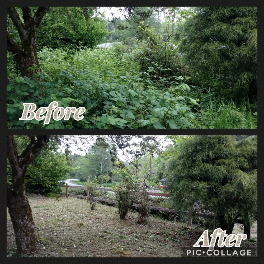 Top-rated yard maintenance in Lincoln City, OR - Nature Boy Yard Care & Maintenance