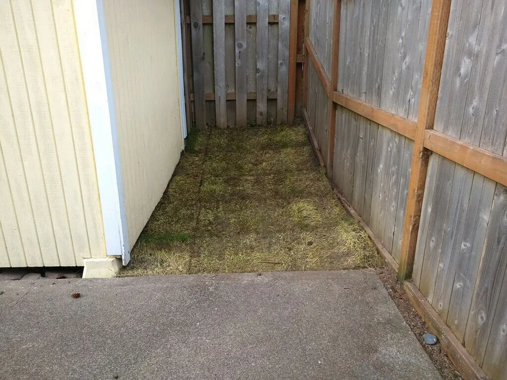 Affordable landscape installation for residential properties across Lincoln City, OR - Nature Boy Yard Care & Maintenance