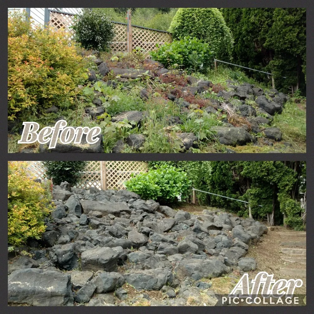 Top-rated lawn care service experts serving Lincoln City, OR - Nature Boy Yard Care & Maintenance