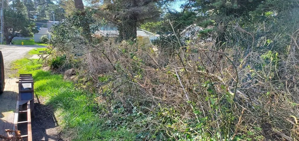 Expert yard cleanup service in Lincoln City, OR by Nature Boy Yard Care & Maintenance