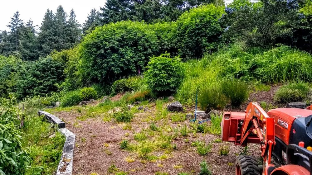 Custom yard maintenance in Lincoln City, OR - Nature Boy Yard Care & Maintenance