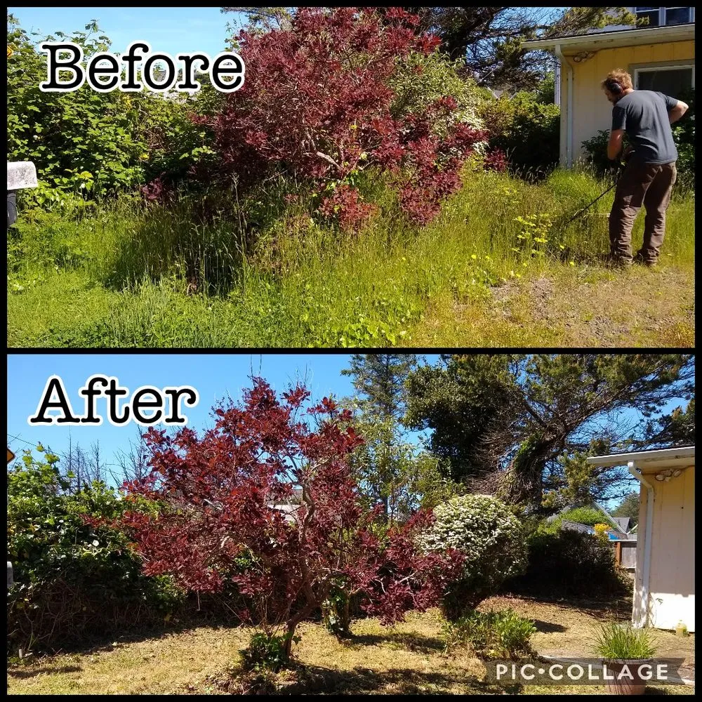 Trusted landscaping services for outdoor upgrades in Lincoln City, OR by Nature Boy Yard Care & Maintenance