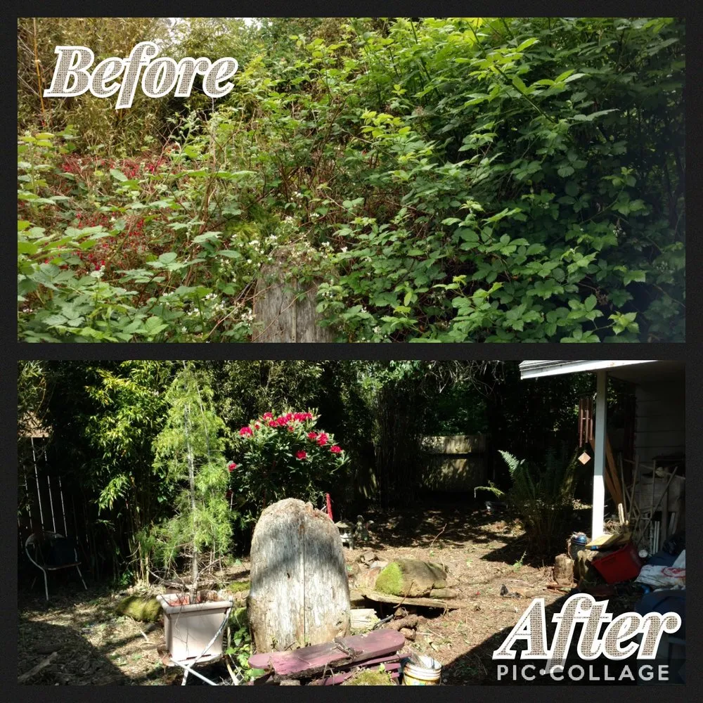 Local yard cleanup service in Lincoln City, OR - Nature Boy Yard Care & Maintenance
