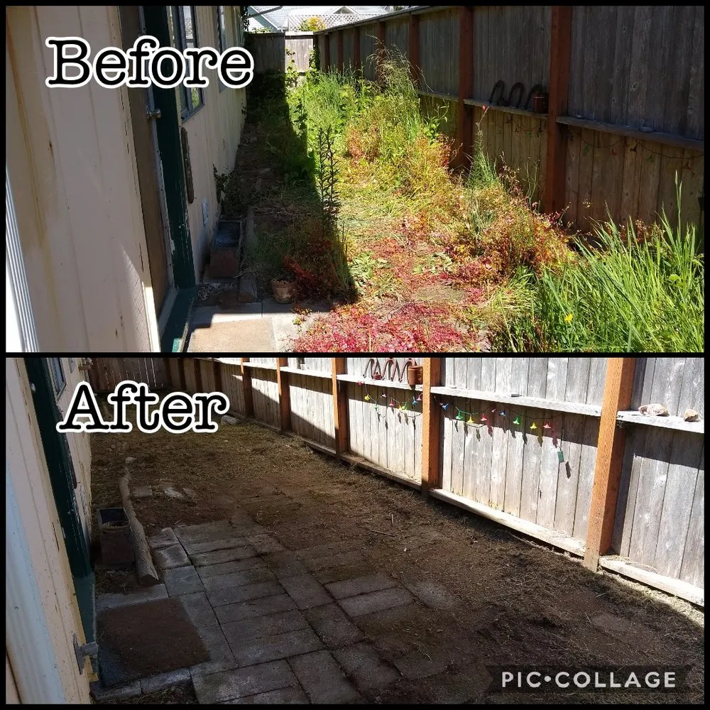 Expert lawn mowing service in Lincoln City, OR by Nature Boy Yard Care & Maintenance