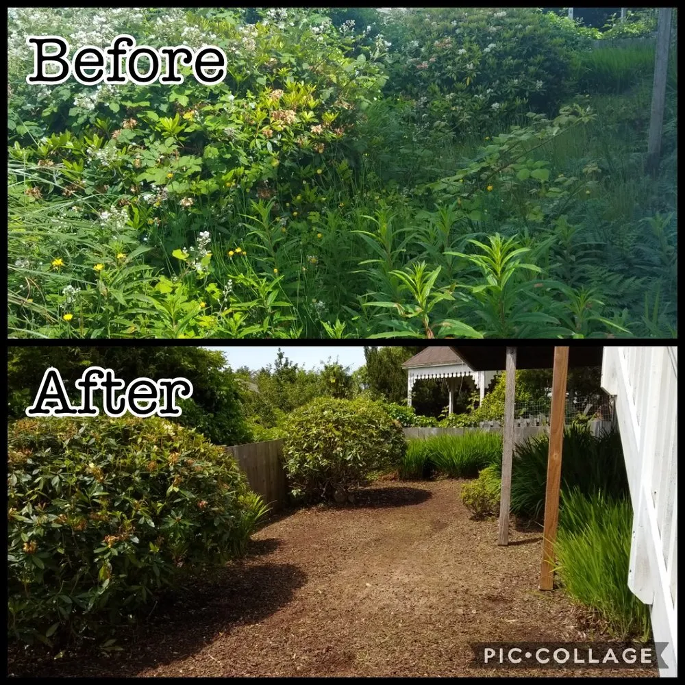 Expert residential landscaping experts serving Lincoln City, OR - Nature Boy Yard Care & Maintenance