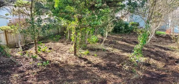 Nature Boy Yard Care & Maintenance