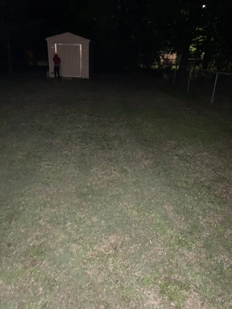 Top-rated residential landscaping near you in Lexington, NC by Nature Boyz