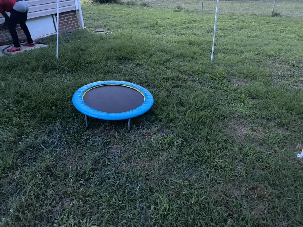 Custom yard cleanup service for outdoor upgrades across Lexington, NC - Nature Boyz