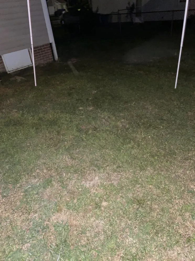 Local landscaping services for year-round maintenance in Lexington, NC by Nature Boyz