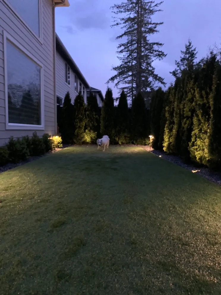 Reliable garden landscaping in Federal Way, WA - Nature Breeze Landscaping & Hardscape