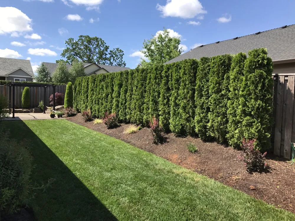 Reliable residential landscaping experts serving Turner, OR - Nature Bros Landscape Maintenance