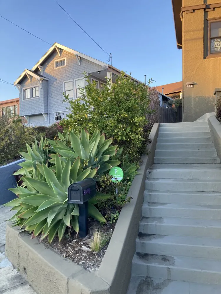 Affordable garden landscaping in Hercules, CA - Nature Builder Landscape Construction