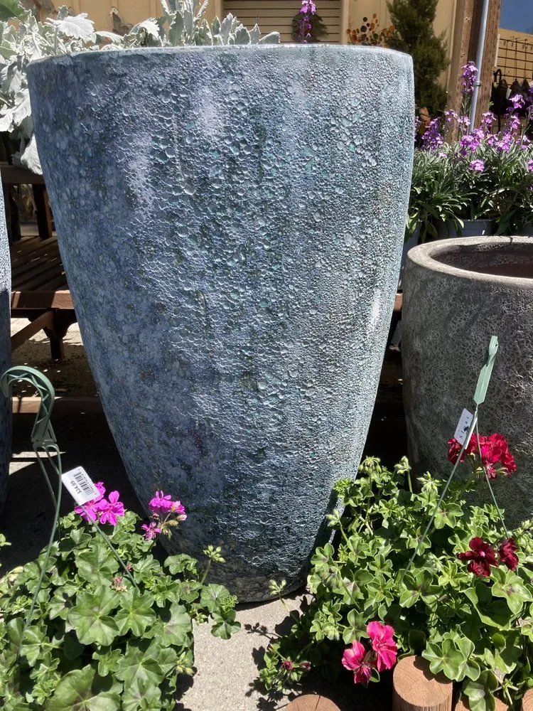 Affordable yard maintenance in Hercules, CA - Nature Builder Landscape Construction