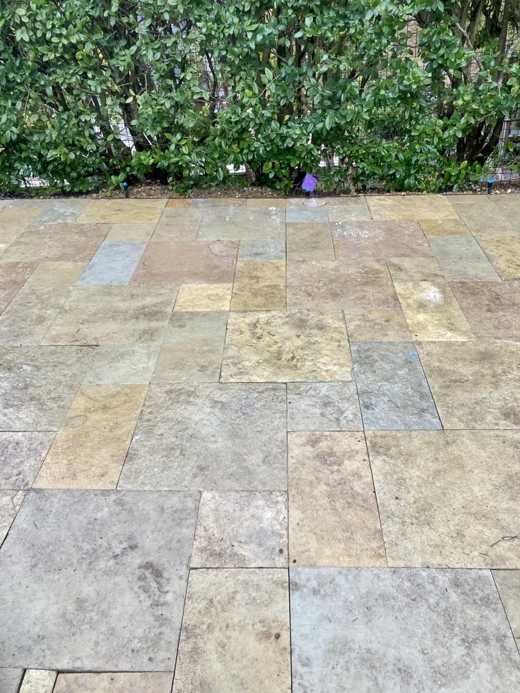 Professional landscape design experts serving Hercules, CA - Nature Builder Landscape Construction