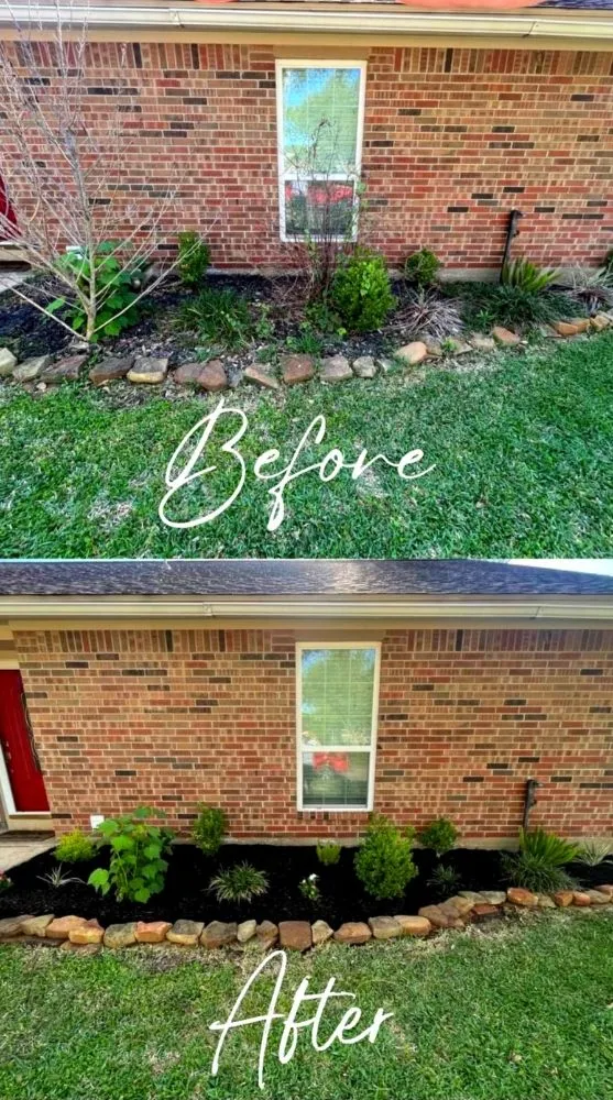 Professional yard cleanup service experts serving Houston, TX - Nature By Design Landscape