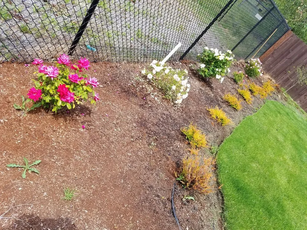 Affordable yard cleanup service with custom design in Battle Ground, WA by Nature By Design Landscaping,Inc.