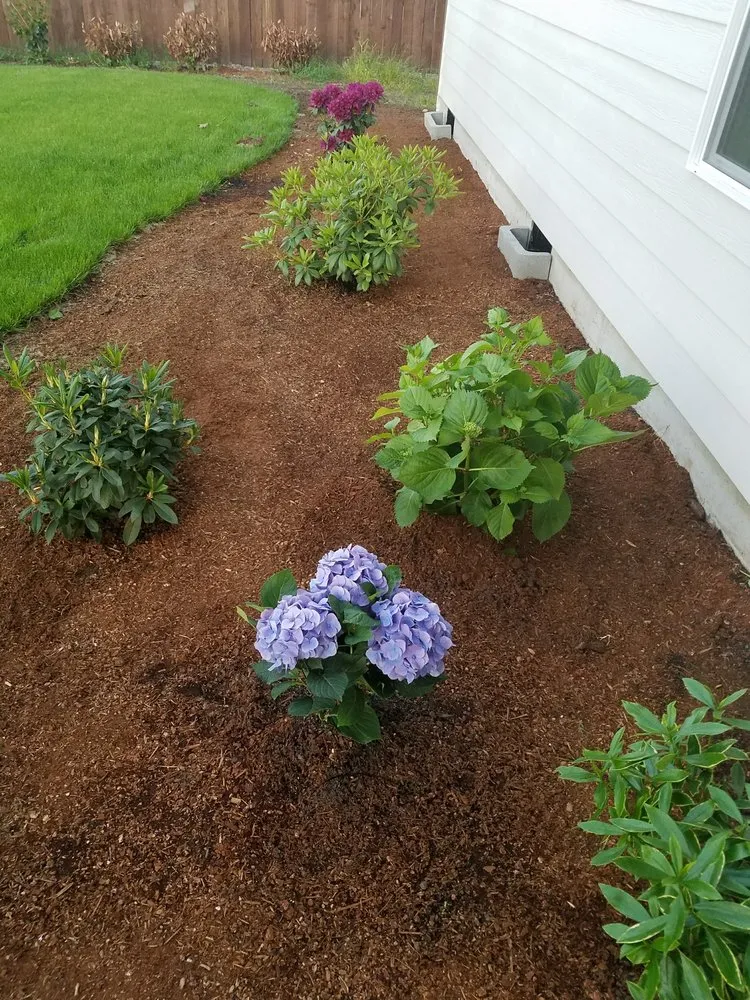 Expert lawn care service in Battle Ground, WA by Nature By Design Landscaping,Inc.