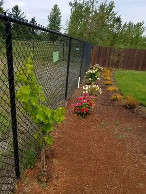 Nature By Design Landscaping,Inc.