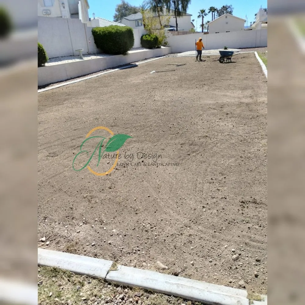 Professional lawn care service in Las Vegas, NV by Nature by Design
